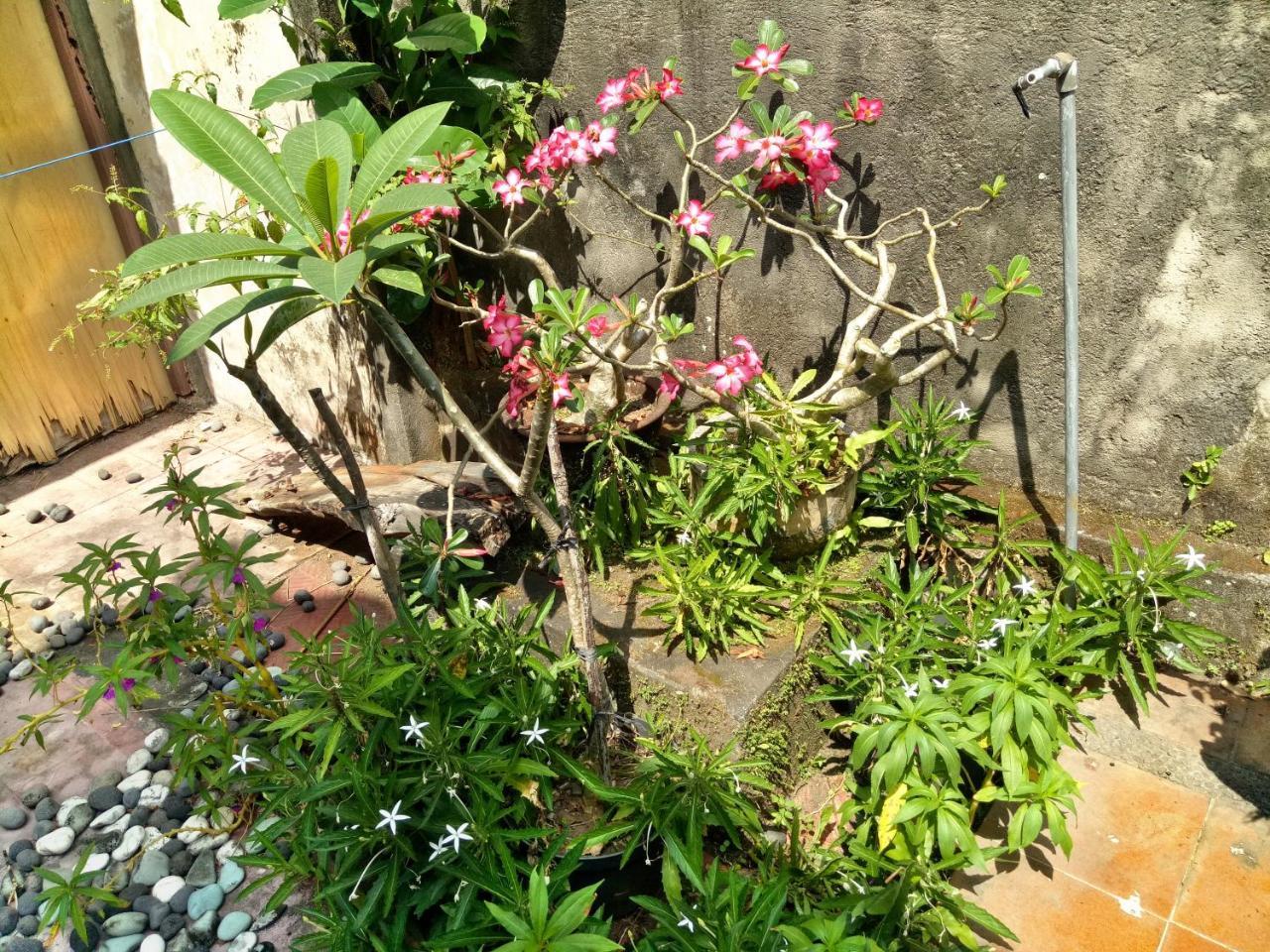 مبيت وإفطار أوبود Suandi House المظهر الخارجي الصورة